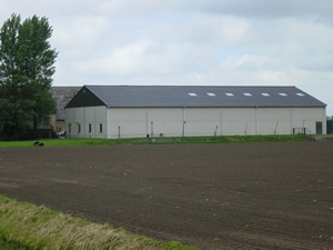 Agrarische-Bedrijven-Coen-Schiereck (1)